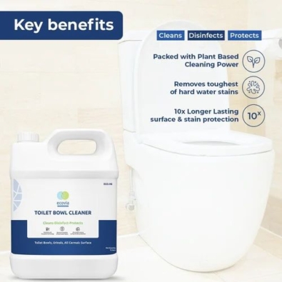 toilet-bowl-cleaner-500x500 (4)